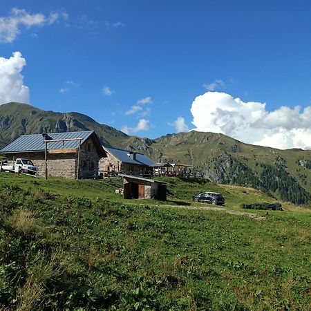 Casa Vacanze Lavanda & Rosmarino Telve Экстерьер фото